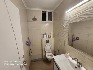 ein Badezimmer mit Toilette, Waschbecken und Spiegel in der Unterkunft דירה לאירוח בכרמיאל מלון in Karmi’el