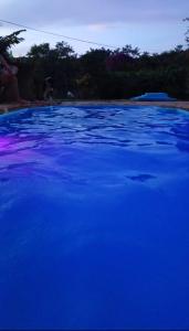 a pool of blue water with trees in the background at Chácara maravilha in Monte Sião
