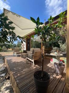 une terrasse en bois avec un pot dans l'établissement Cozy frame house in the wood, 