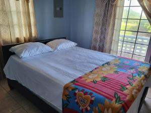 Postel nebo postele na pokoji v ubytování OceanView Villa