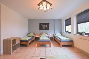 Ferienwohnung in Lohfelden nahe Kassel في لوهْفيلدِن: غرفة مستشفى بثلاث اسرة وثريا