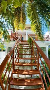 OmadhooにあるAHI Maldivesのヤシの木のある家へと続く階段
