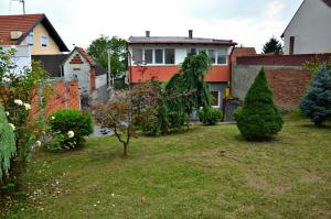 a yard with a house and some bushes at Apartment Slavonska Kuća in Pleternica