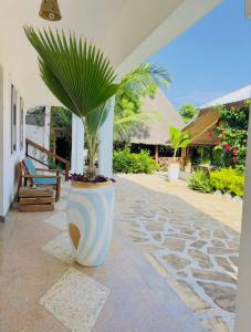 a palm tree in a large pot on a patio at Lemon Lodge Nungwi in Nungwi +14 photos