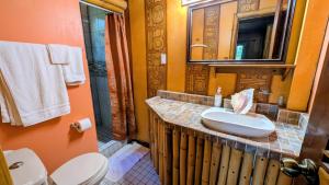 a bathroom with a sink and a toilet and a mirror at Hidden Paradise Belize in White Hill +16 photos