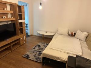 a room with a bed and a tv and a table at La Suciu in Luduş