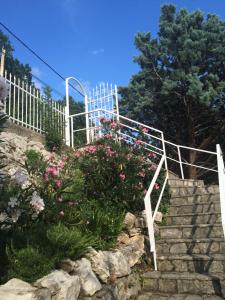 Fotografie z fotogalerie ubytování Apartment Gigi v destinaci Jadranovo