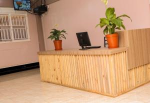 Un mostrador de madera con plantas encima. en JD LUXURY HOTEL Jinja, en Nalakonge