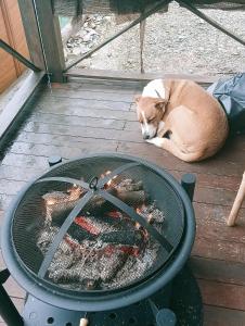 ein Hund, der neben einem Grill auf dem Boden liegt in der Unterkunft La Cabaña del Paito in Guillena + 38 Fotos