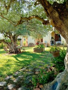 Zahrada ubytování La finestra sul limone