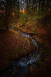 Příroda nedaleko prázdninového domu
