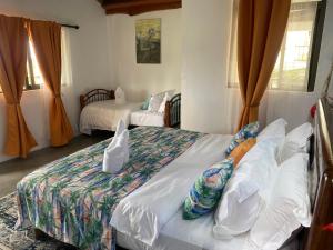 Fotografie z fotogalerie ubytování Baz-Art Eco Guest House v destinaci Mauritius