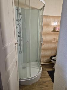 a shower with a glass door in a bathroom at Le Lagon in Saint-Gaudens