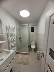 ein Badezimmer mit Dusche, Toilette und Waschbecken in der Unterkunft Casa Lumi in Petrila