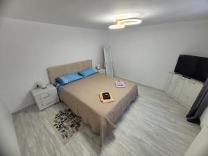 a bedroom with a bed and a flat screen tv at Casa Lumi in Petrila