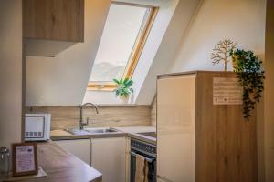 uma cozinha com uma janela, um lavatório e um frigorífico em Gesundheitsbauernhof -Landhof - Offenbacher em Seckau