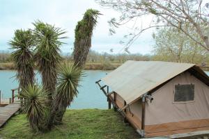 a tent next to a river with palm trees at Cozy Glamping Minutes from SpaceX Launches in Colonia Acres