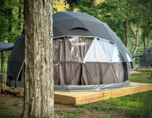 a tent is set up next to a tree at Cozy Mountain Dome Escape in the Catskills in Gilboa