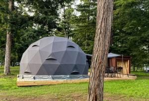 a tent in a park next to a tree at Luxury Catskill Mountains Dome Retreat in Gilboa