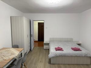 Postel nebo postele na pokoji v ubytování Garsonieră Craiova