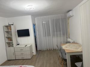 TV a/nebo společenská místnost v ubytování Garsonieră Craiova