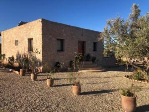 Κήπος έξω από το Harmonie des alizés +25 φωτογραφίες