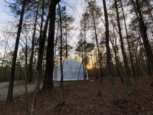 Příroda nedaleko luxury tent