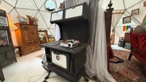 Fotografie z fotogalerie ubytování Artistic Forest Dome Escape Near Lake Oconee v destinaci Liberty + 13 fotografií