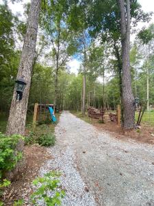 Zahrada ubytování Artistic Forest Dome Escape Near Lake Oconee + 13 fotografií