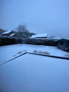 La Cardamine v zimě