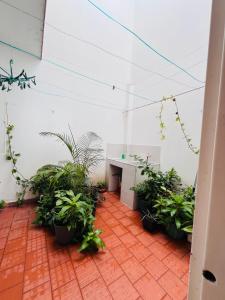 a room with a table and plants in it at Espectacular y céntrico apartamento en el corazón de San Gil 1 in San Gil