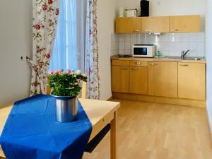 Η κουζίνα ή μικρή κουζίνα στο Villa Fortuna Gästehaus App Rügen +9 φωτογραφίες