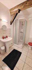 ein Badezimmer mit Dusche, Waschbecken und Toilette in der Unterkunft Montagnard RDC Hyper centre in Chartres