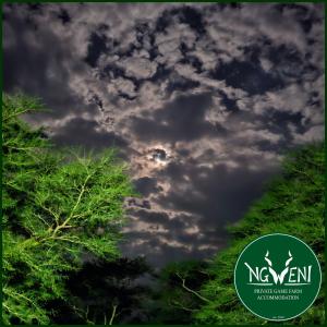 Πιστοποιητικό, βραβείο, πινακίδα ή έγγραφο που προβάλλεται στο Off-Grid Campsites at Ngweni Private Game Farm Accommodation