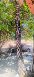 Φυσικό τοπίο κοντά σε αυτό το κάμπινγκ +1 φωτογραφίες