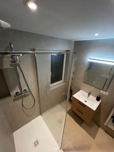 a bathroom with a shower and a sink at Charmant appartement aux portes de Strasbourg in Oberhausbergen