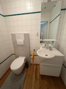 Phòng tắm tại Danner Appartements Gschwandt bei Gmunden - Monatsweise mieten - Monteurwohnungen in Gmunden, Zentral, vollmöbliert & mit Parkplatz für Langzeitgäste