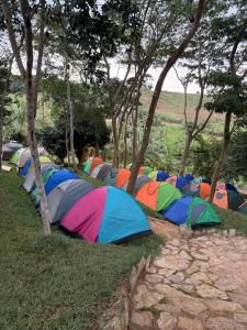 Eine Reihe bunter Zelte lag auf dem Rasen. in der Unterkunft Adoko Farms Eco Resort in Dewu Asaman + 2 Fotos