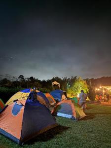 eine Gruppe Zelte, die nachts im Gras sitzen in der Unterkunft Adoko Farms Eco Resort in Dewu Asaman