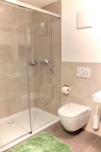 a bathroom with a shower and a toilet at Fuchs at home in Kaltbrunn