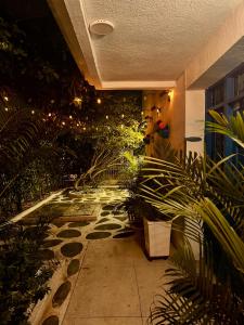 a garden with plants on the floor of a building at Casa MIKONOS in Cartagena de Indias