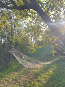 a hammock hanging from a tree in a field at Pure nature lovely view house in Zaklopača