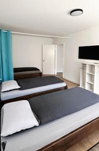 a bedroom with two beds and a flat screen tv at Casa Maria Apartments Bern in Bern