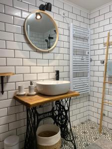 a bathroom with a sink and a mirror at Kućice za odmor Šalatin jarek - Free tickets to local attractions in Ðurđevac