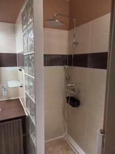 a bathroom with a shower with a glass door at Le Bourguignon - Proche centre ville et Tram in Dijon