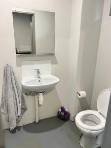 a white bathroom with a toilet and a sink at The eland in Johannesburg