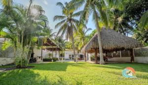 TaxiscoVilla Los Delfines 1的有棕榈树和草屋的度假村