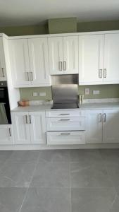 Η κουζίνα ή μικρή κουζίνα στο Bright Dundalk Homestay