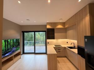 Η κουζίνα ή μικρή κουζίνα στο Modern apartment near Gardermoent airport