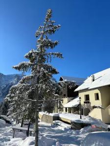 un pin recouvert de neige à côté d'un bâtiment dans l'établissement Rifugio delle Emozioni, à Grange Sises